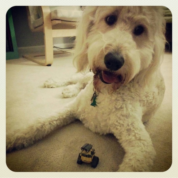 Meet your Posher, Susan - Picture 1 of 1